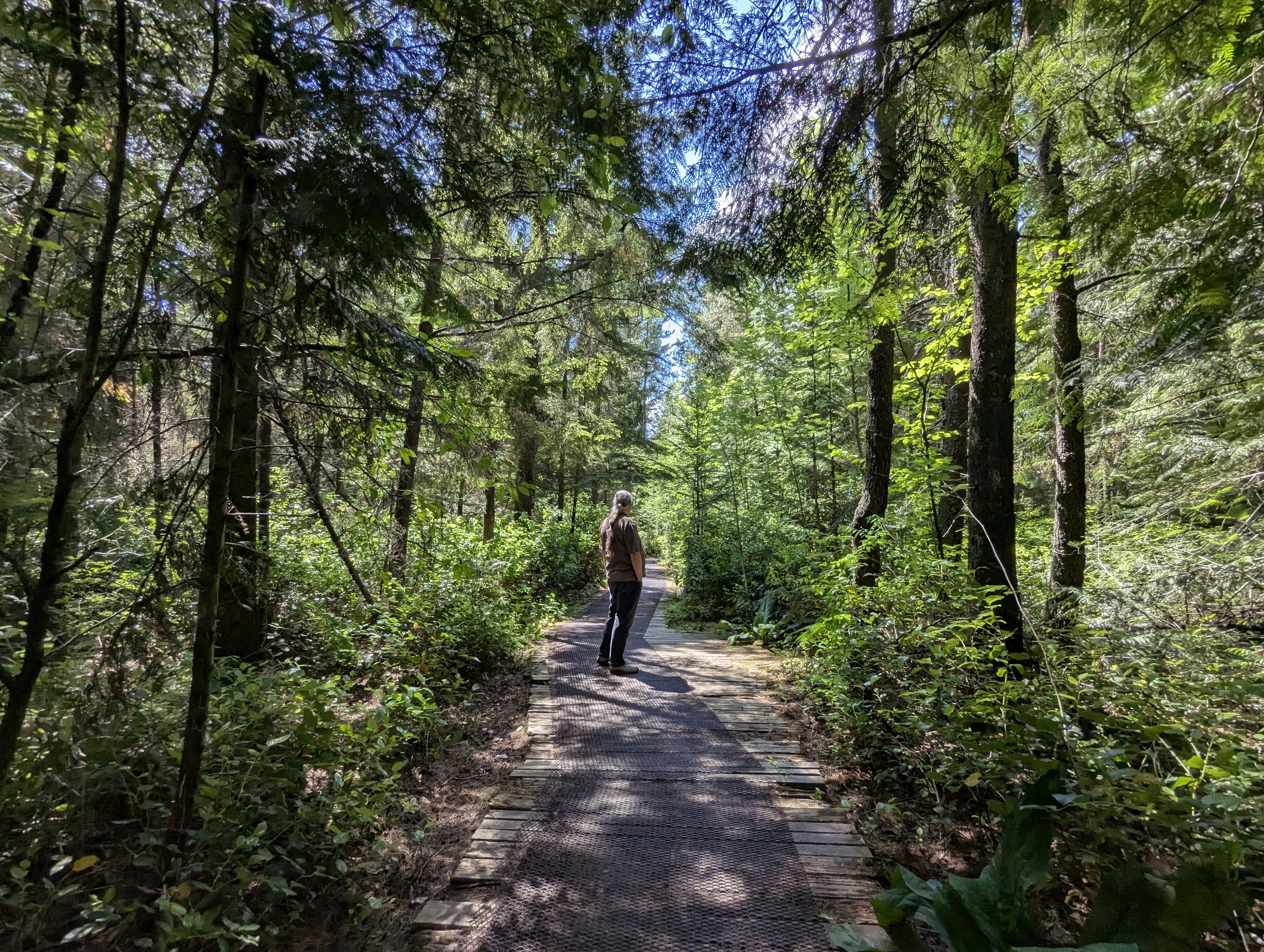Birthday Trip to Canada, Delta, Burns Bog, Vancouver, British Columbia